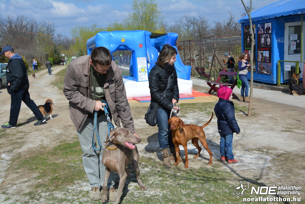 dsc_1003.jpg