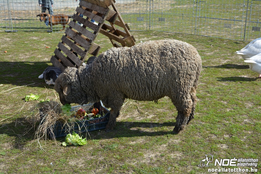 dsc_1011.jpg