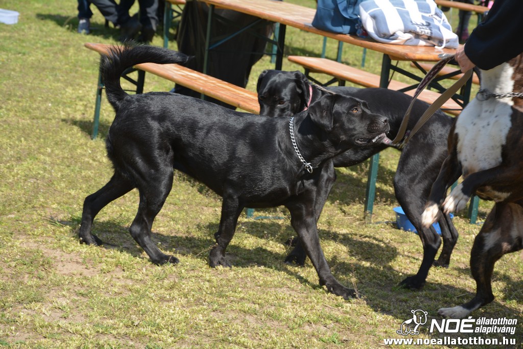dsc_0082.jpg