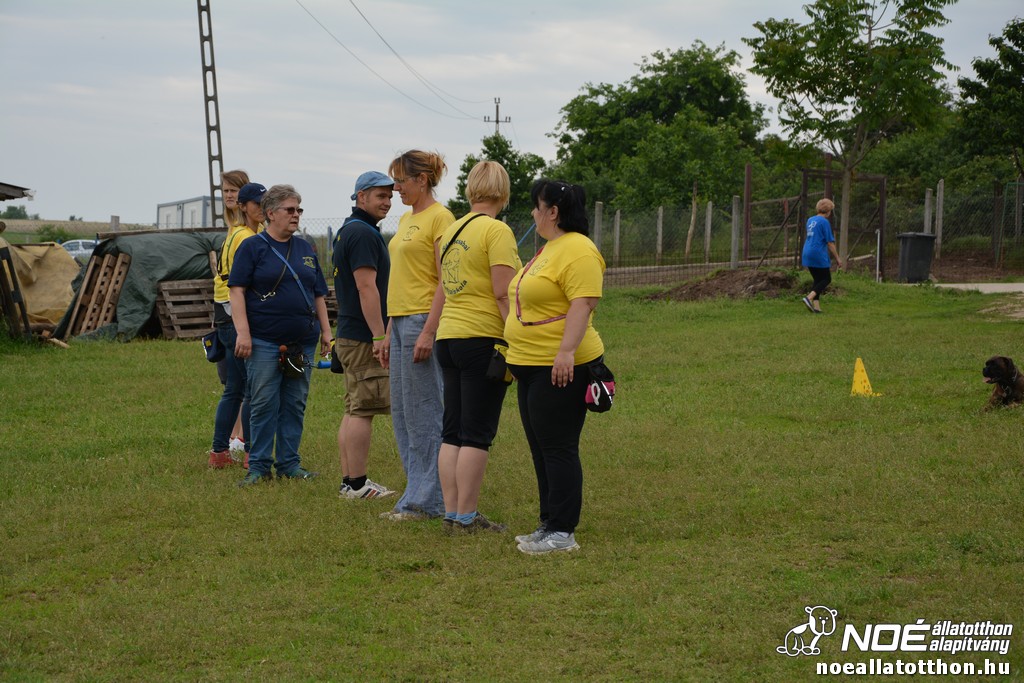 dsc_0084_2.jpg