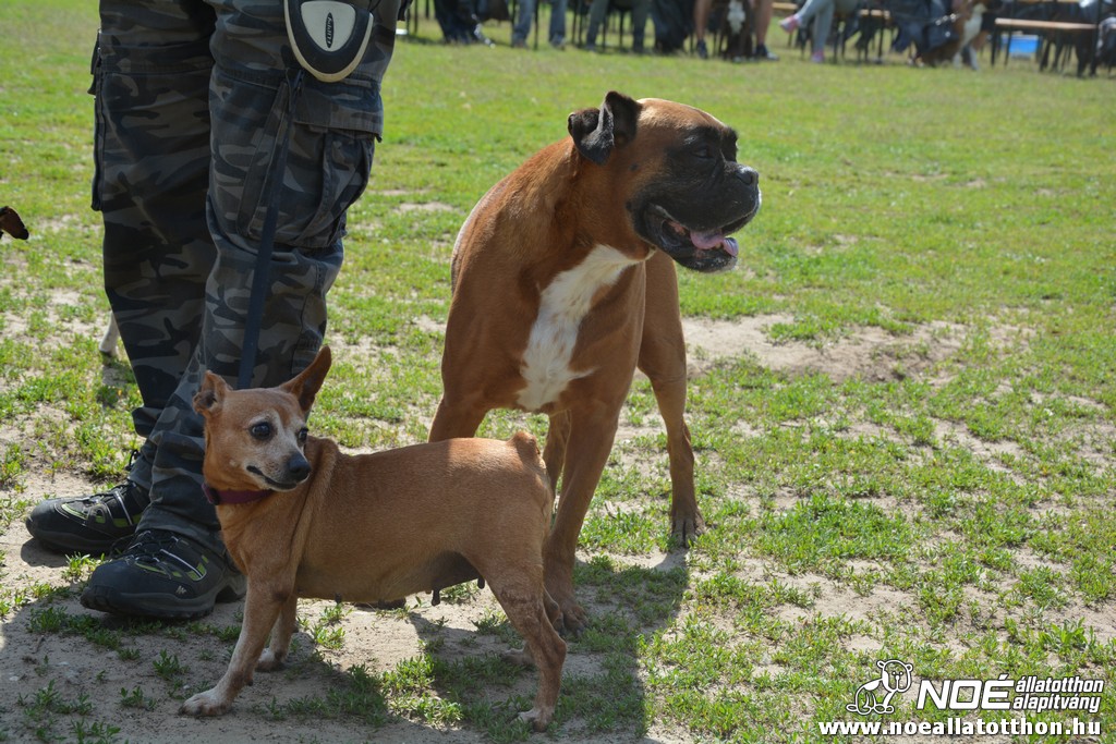 dsc_0091.jpg