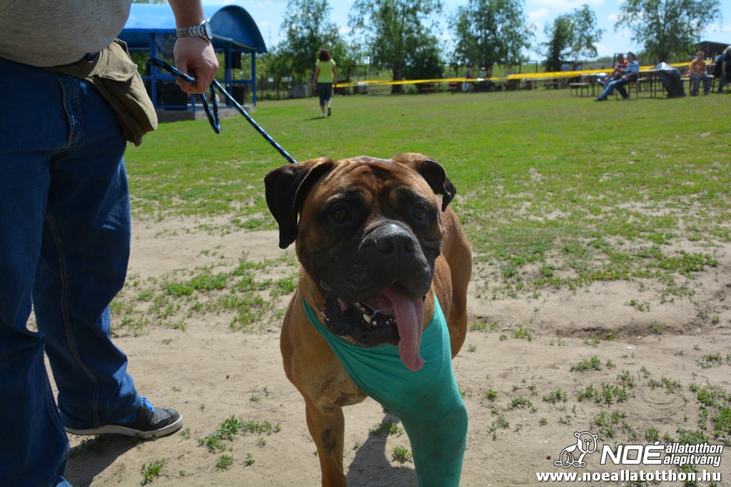 dsc_0096.jpg