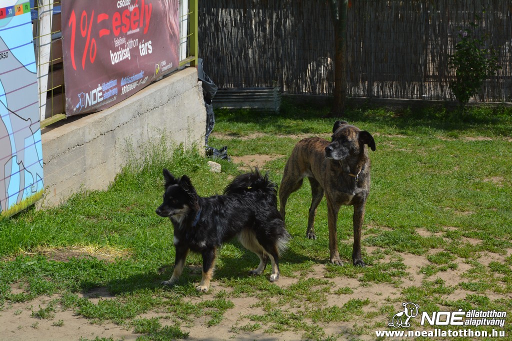 dsc_0102.jpg