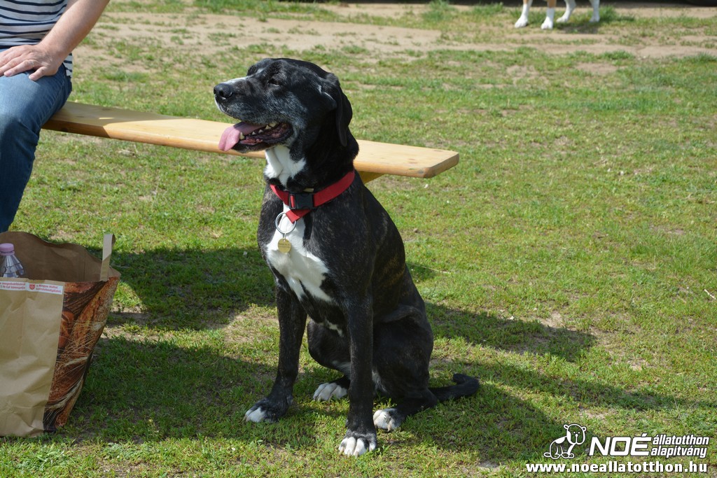 dsc_0105.jpg