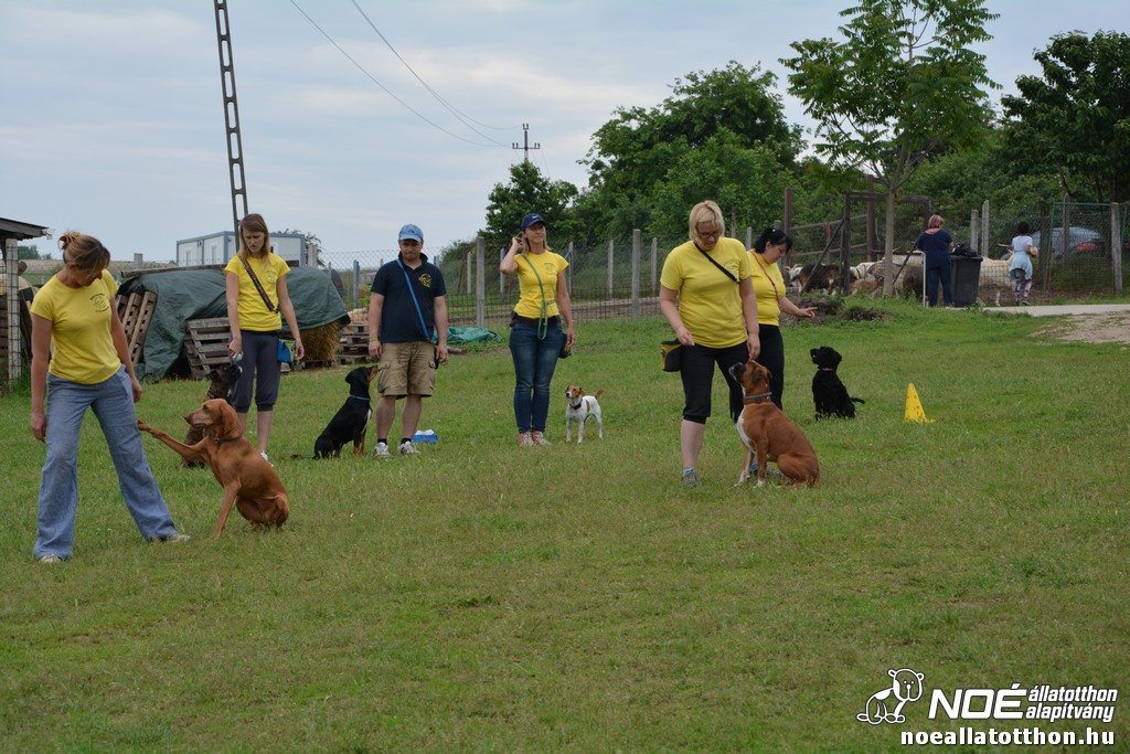 dsc_0117_2.jpg