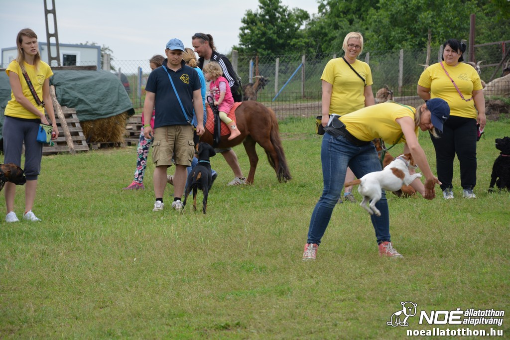 dsc_0124_2.jpg