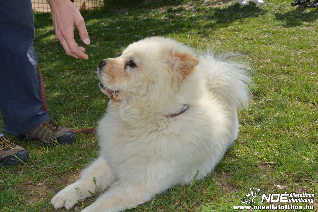 dsc_0125.jpg