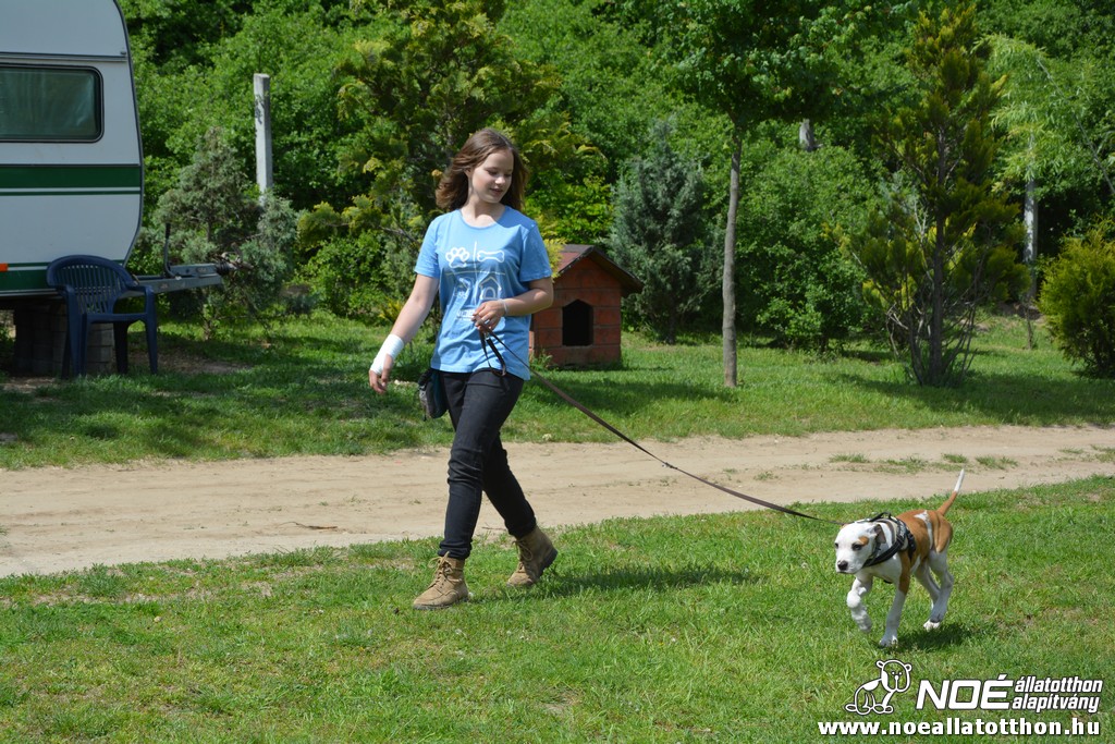 dsc_0155.jpg