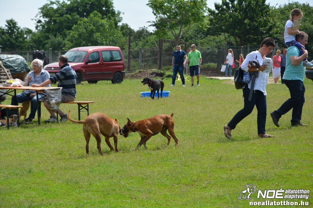 dsc_0205_2.jpg
