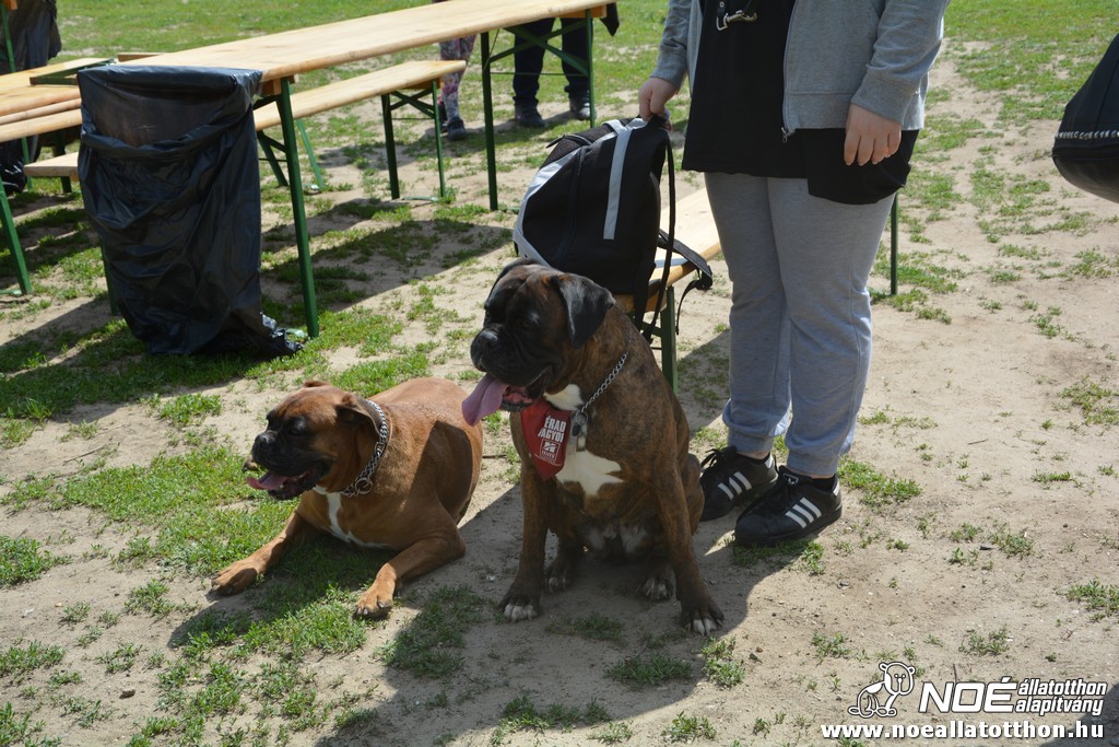 dsc_0206.jpg