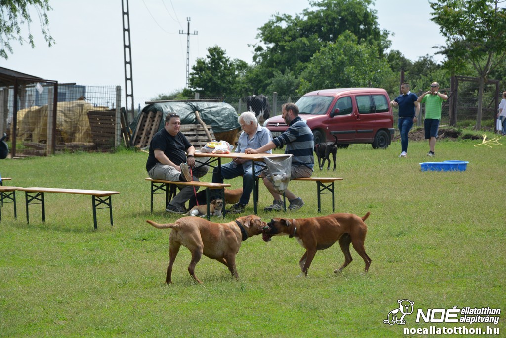 dsc_0207_2.jpg