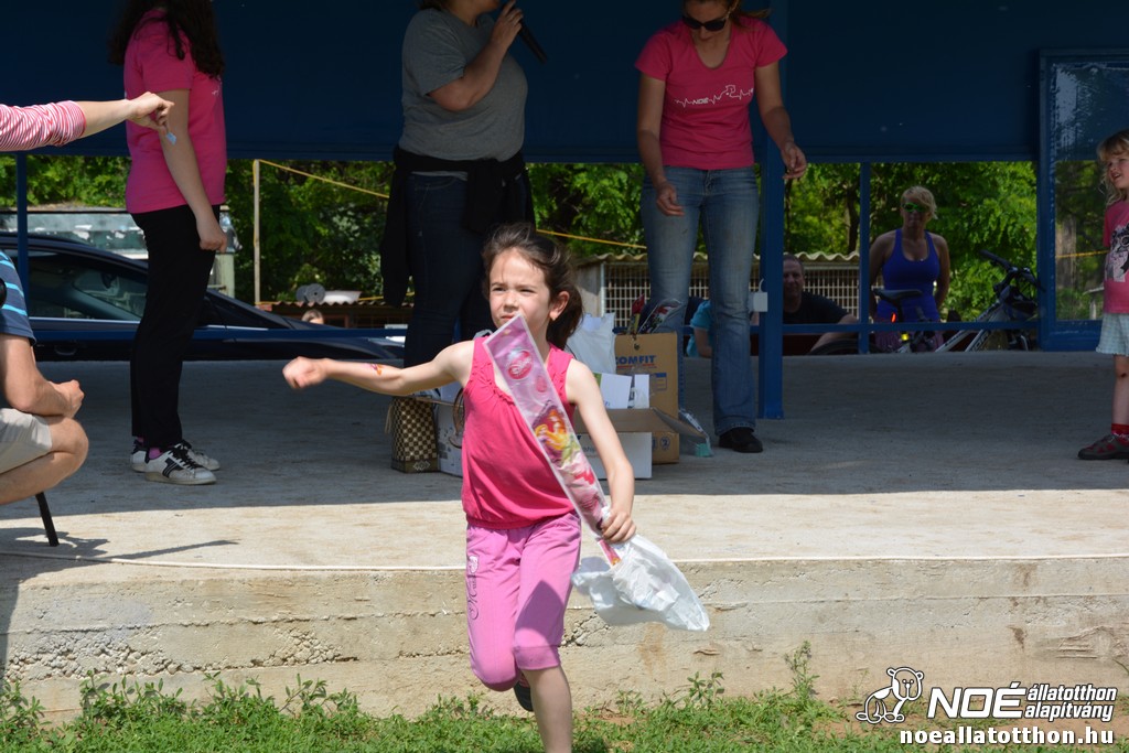 dsc_0261_2.jpg