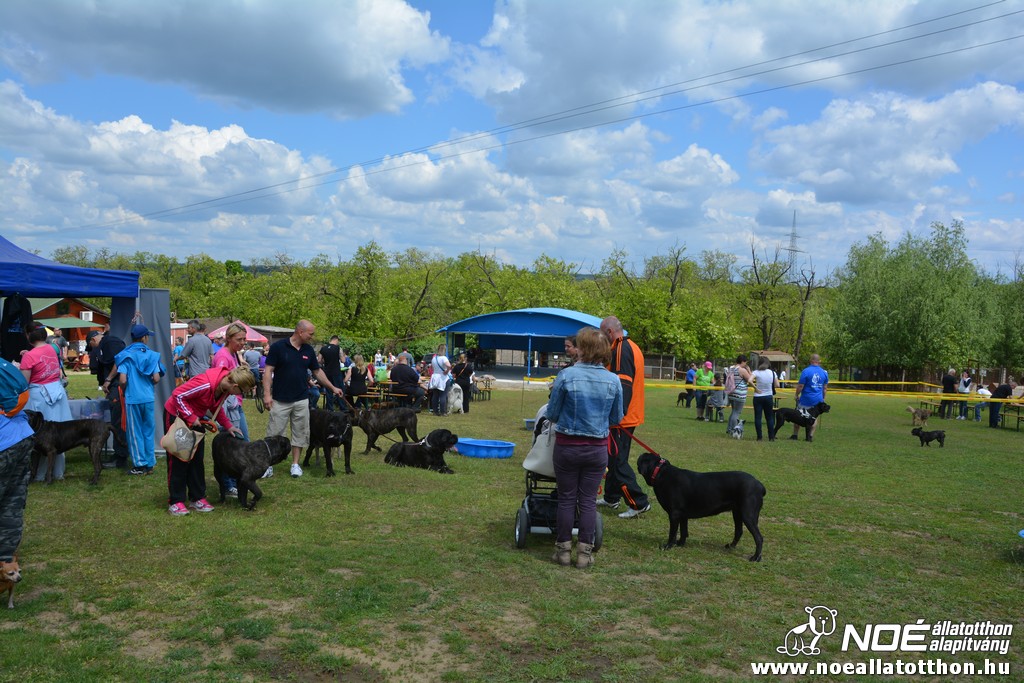 dsc_0266.jpg