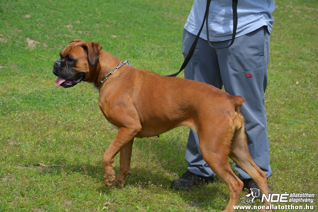 dsc_0286.jpg