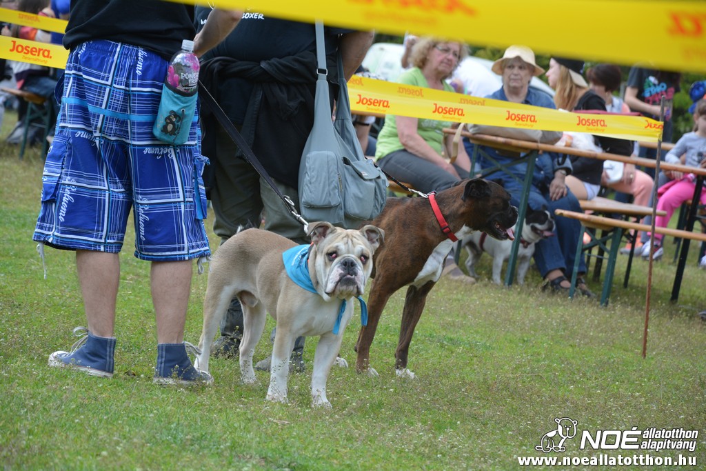 dsc_0292.jpg