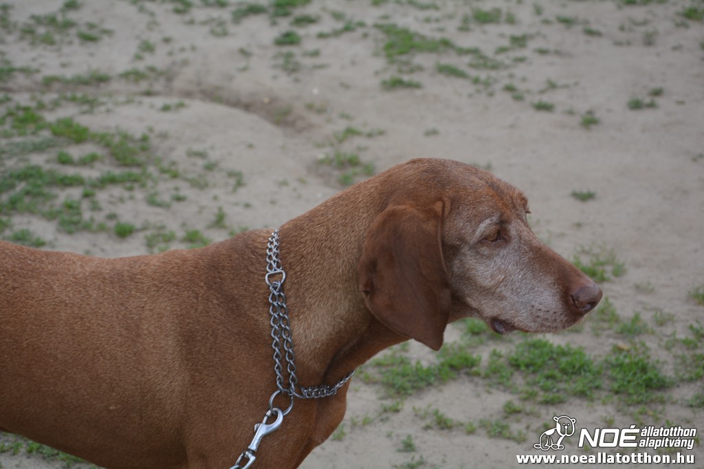 dsc_0374.jpg