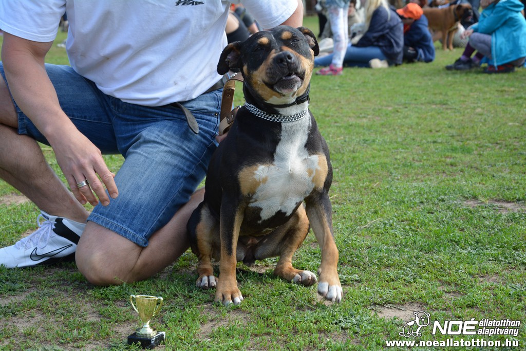 dsc_0406.jpg