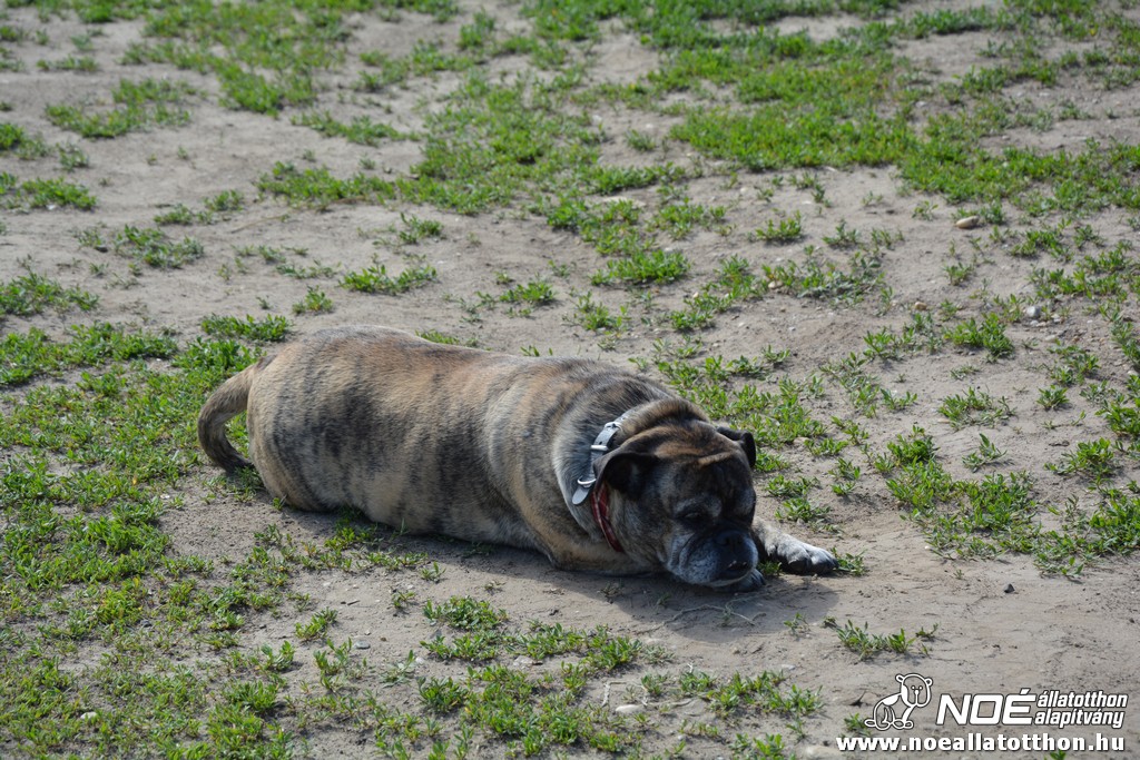 dsc_0414_2.jpg