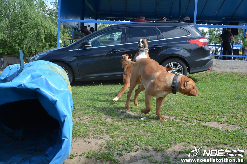 dsc_0418.jpg