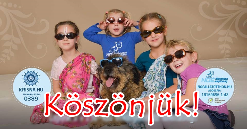 ado_koszi_.jpg