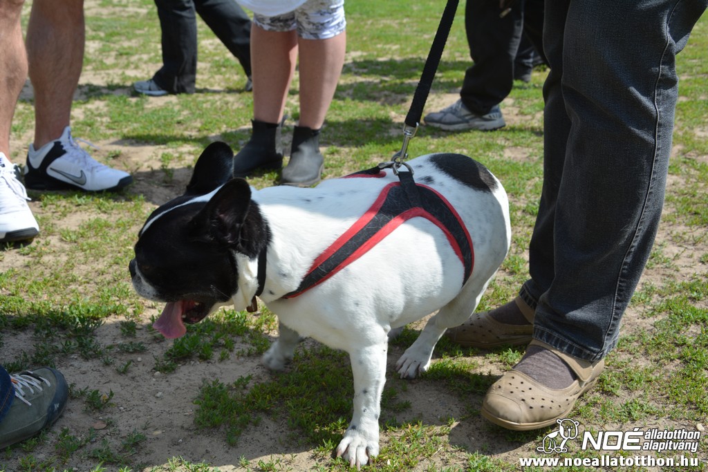 dsc_0145.jpg