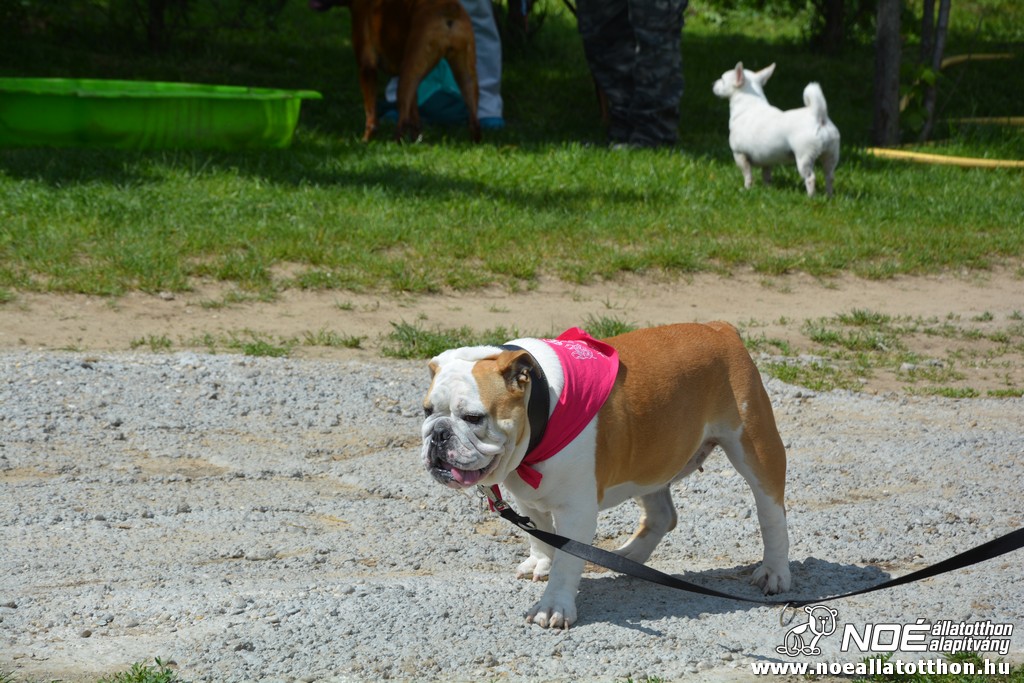 dsc_0152.jpg