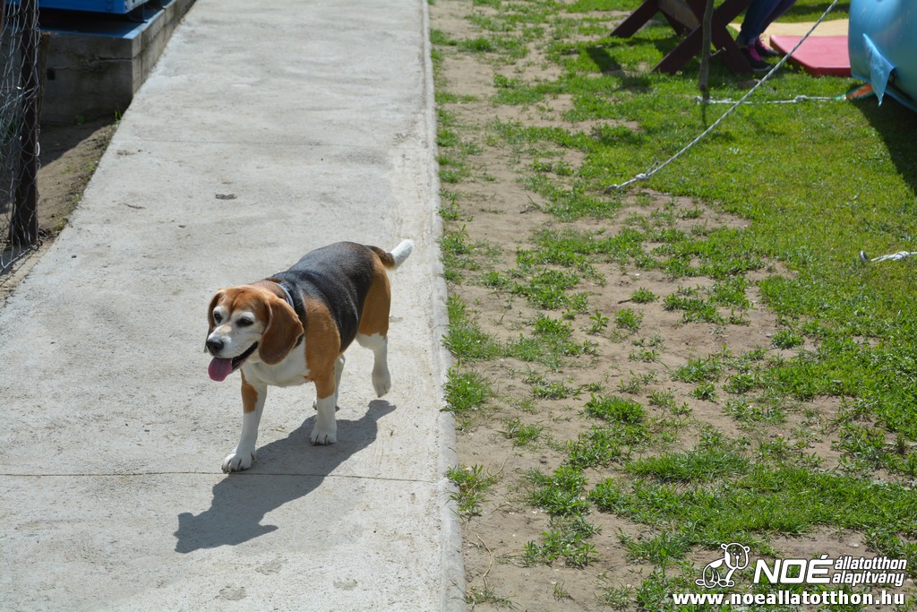 dsc_0158.jpg