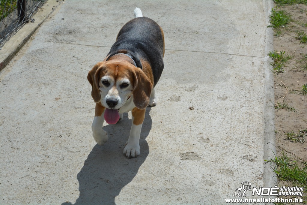 dsc_0159.jpg