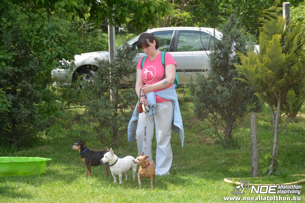 dsc_0163.jpg