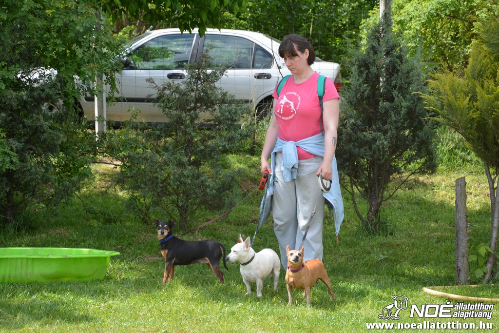 dsc_0164.jpg