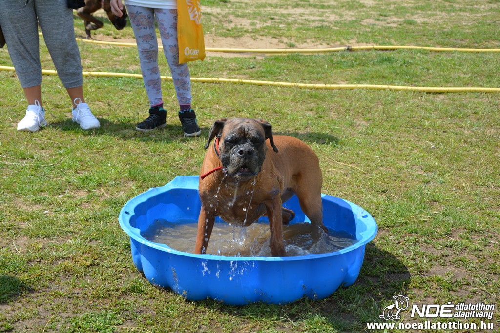dsc_0172.jpg
