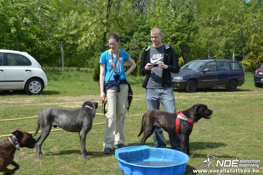 dsc_0177.jpg