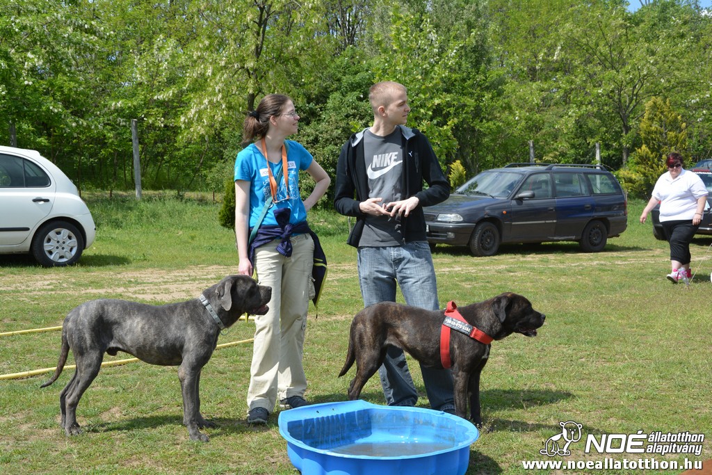 dsc_0178.jpg