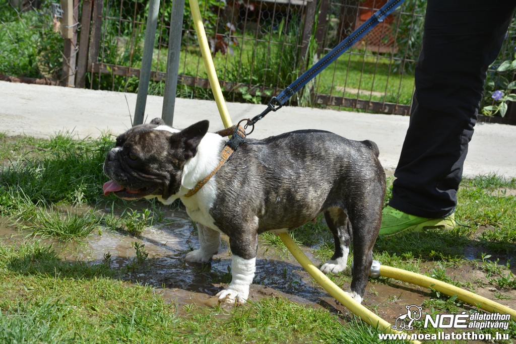dsc_0184.jpg