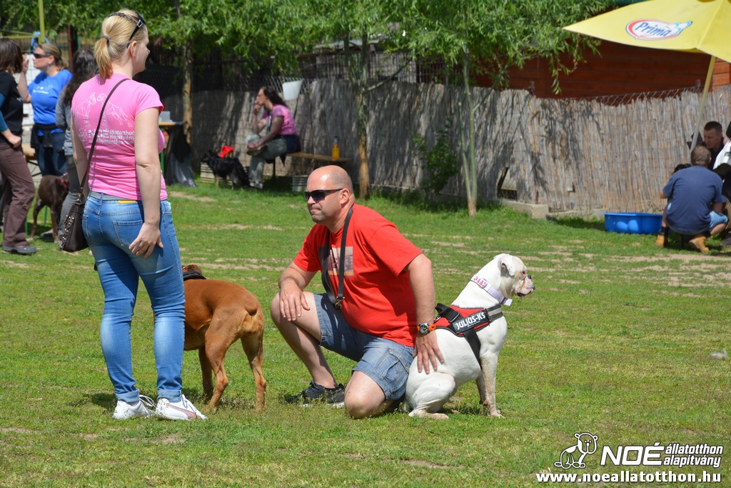 dsc_0225.jpg