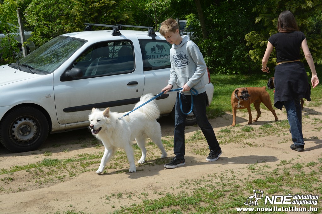 dsc_0240.jpg