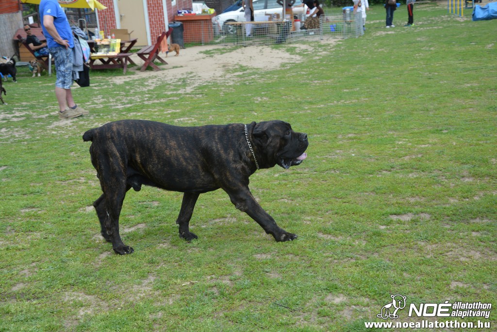 dsc_0244.jpg