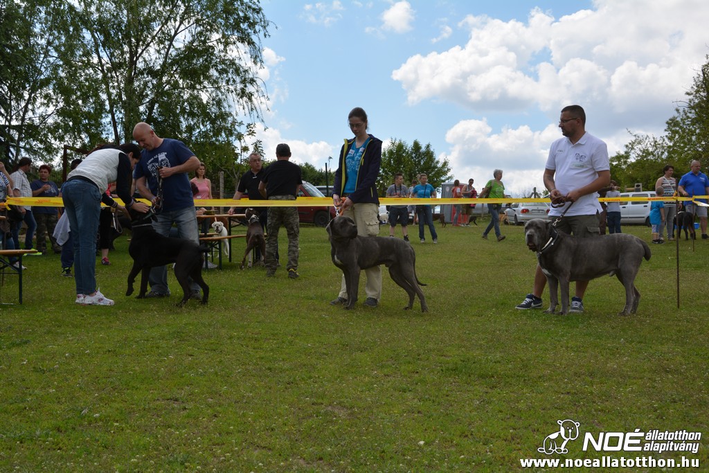 dsc_0290.jpg