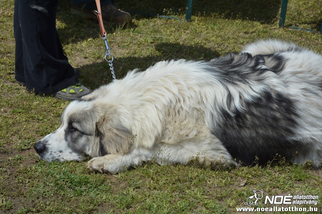 dsc_0305_2.jpg