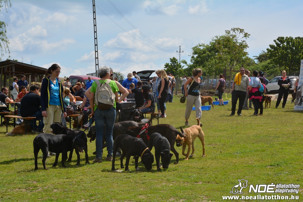 dsc_0337_2.jpg