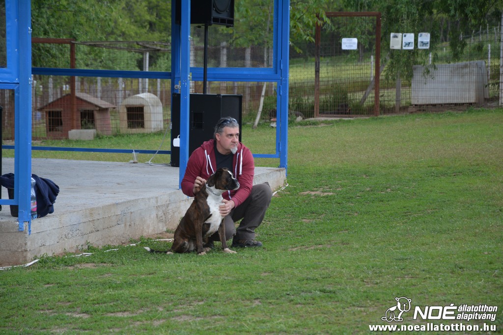 dsc_0365.jpg