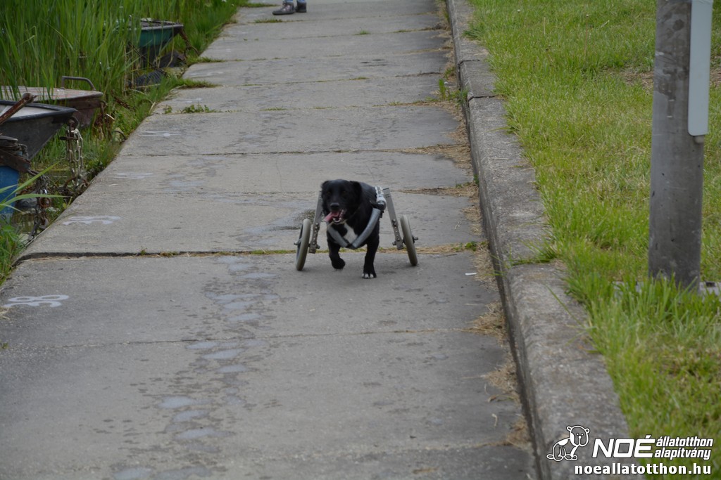 dsc_0855.jpg