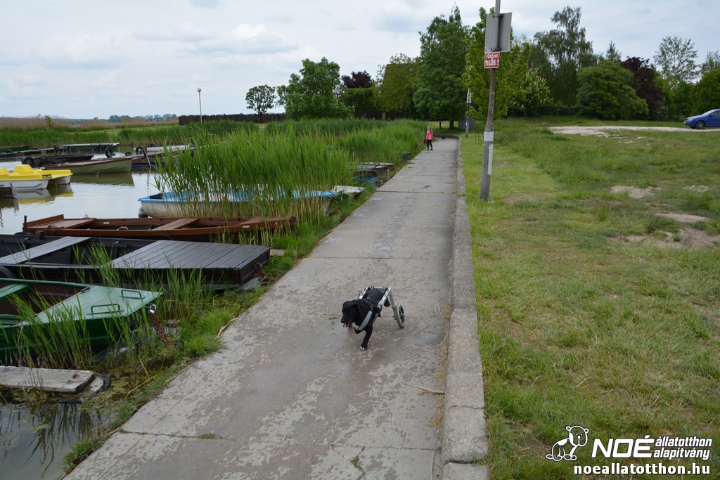 dsc_0856.jpg