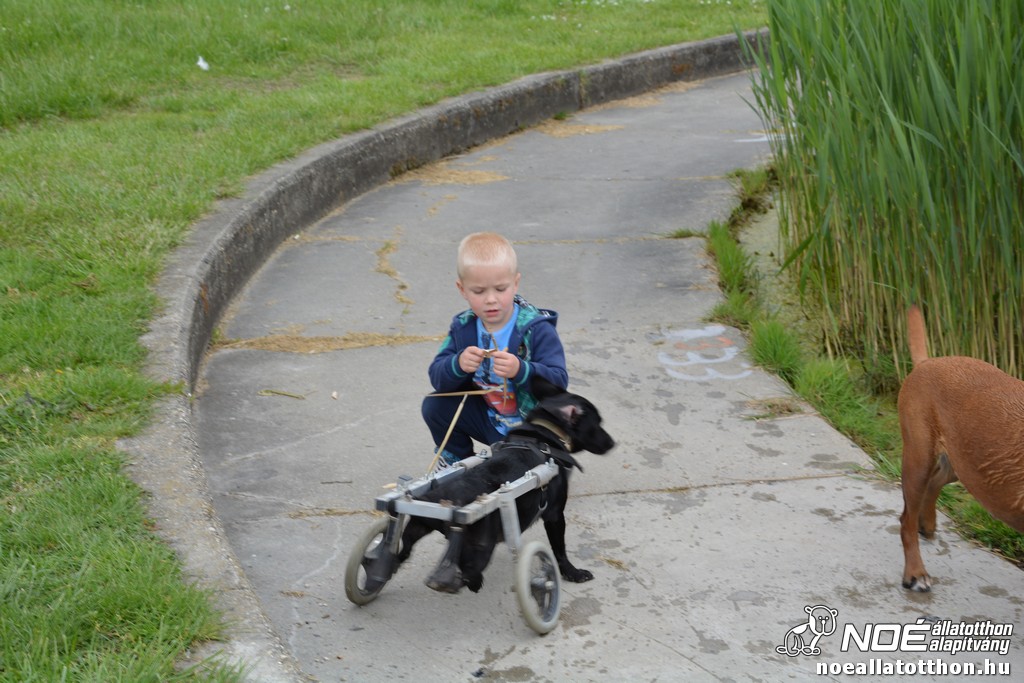 dsc_0859.jpg