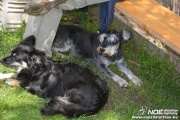 dsc_0230.jpg