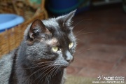 dsc_0232.jpg