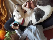 20160518_123714.jpg
