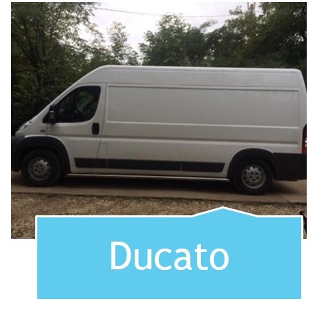 ducato.jpg