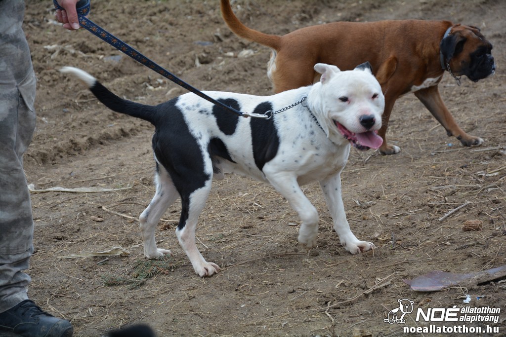dsc_0138.jpg
