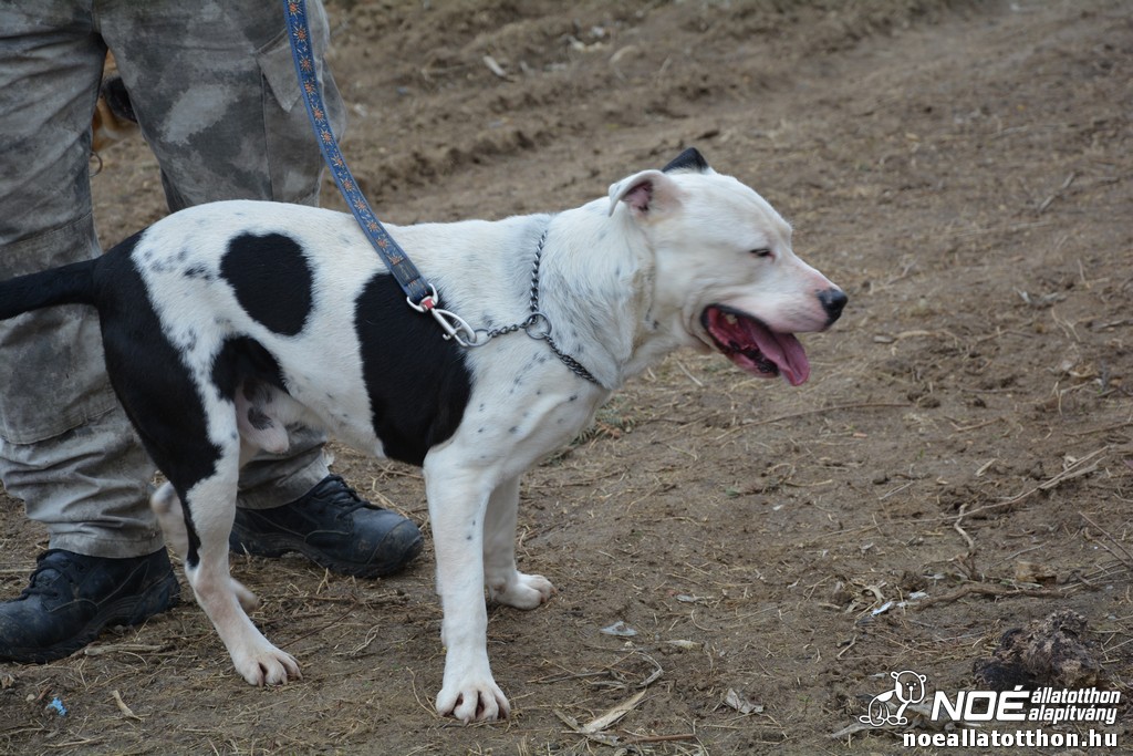 dsc_0140.jpg